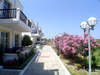 Aegean Houses 